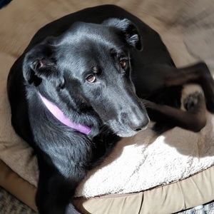 Meet your Posher, Renee